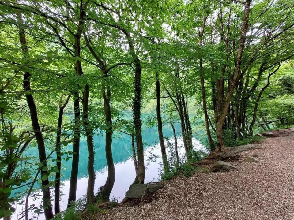 Casa Bosco Apartment Levico Terme Bagian luar foto